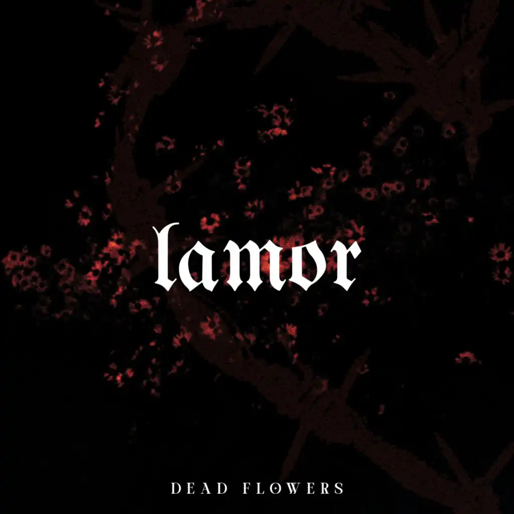 Lamor