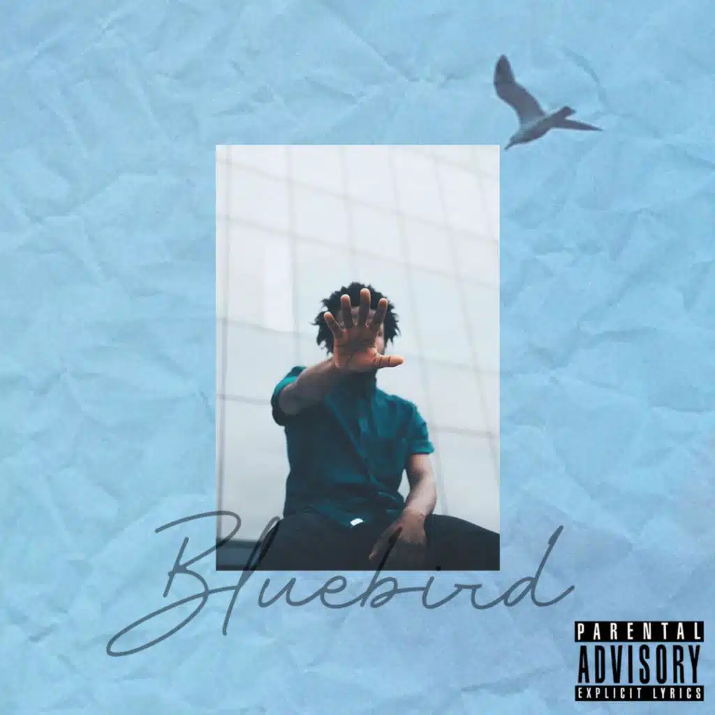 Bluebird