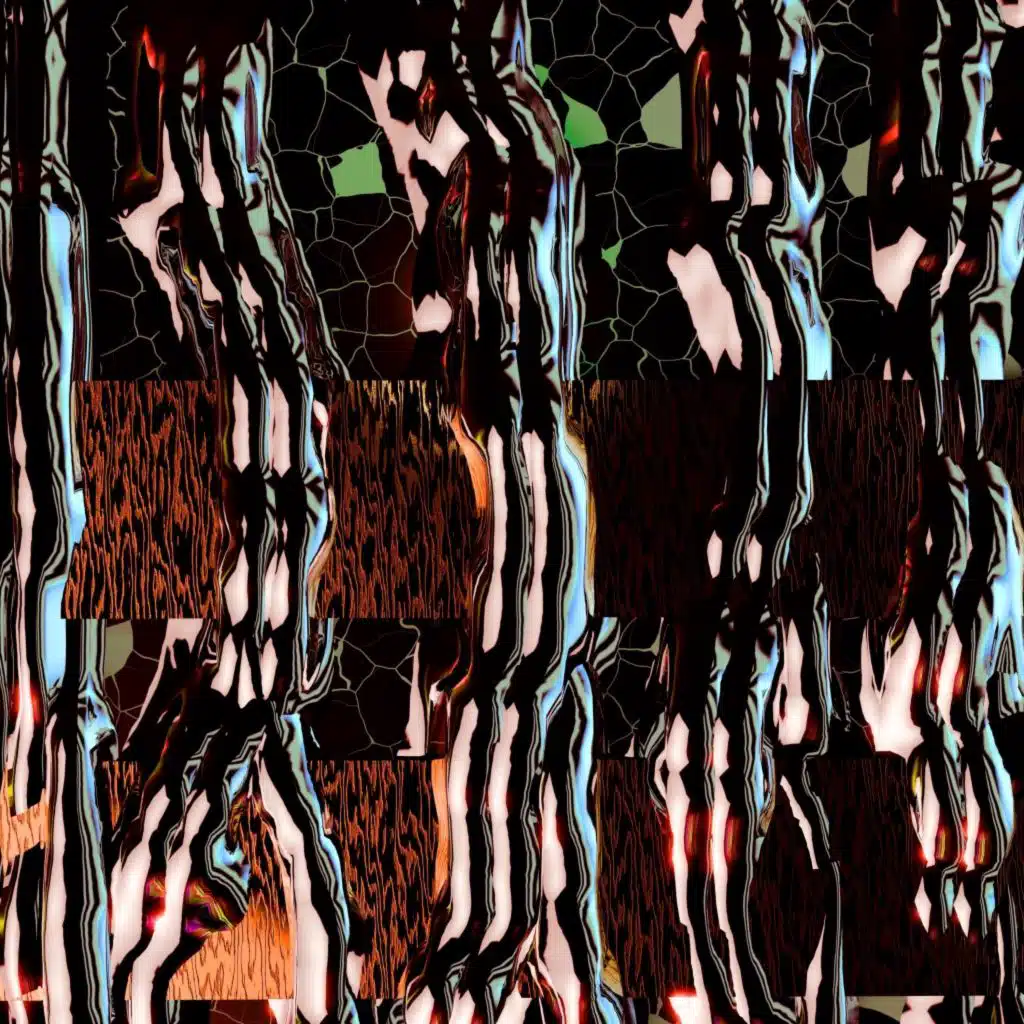 David Hasert & Francesco Mami