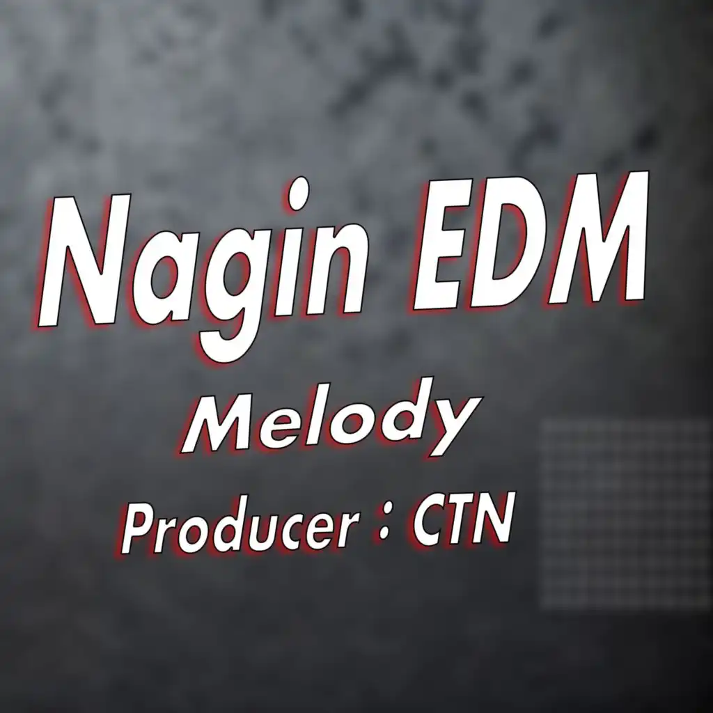 Nagin Melody (EDM Version)