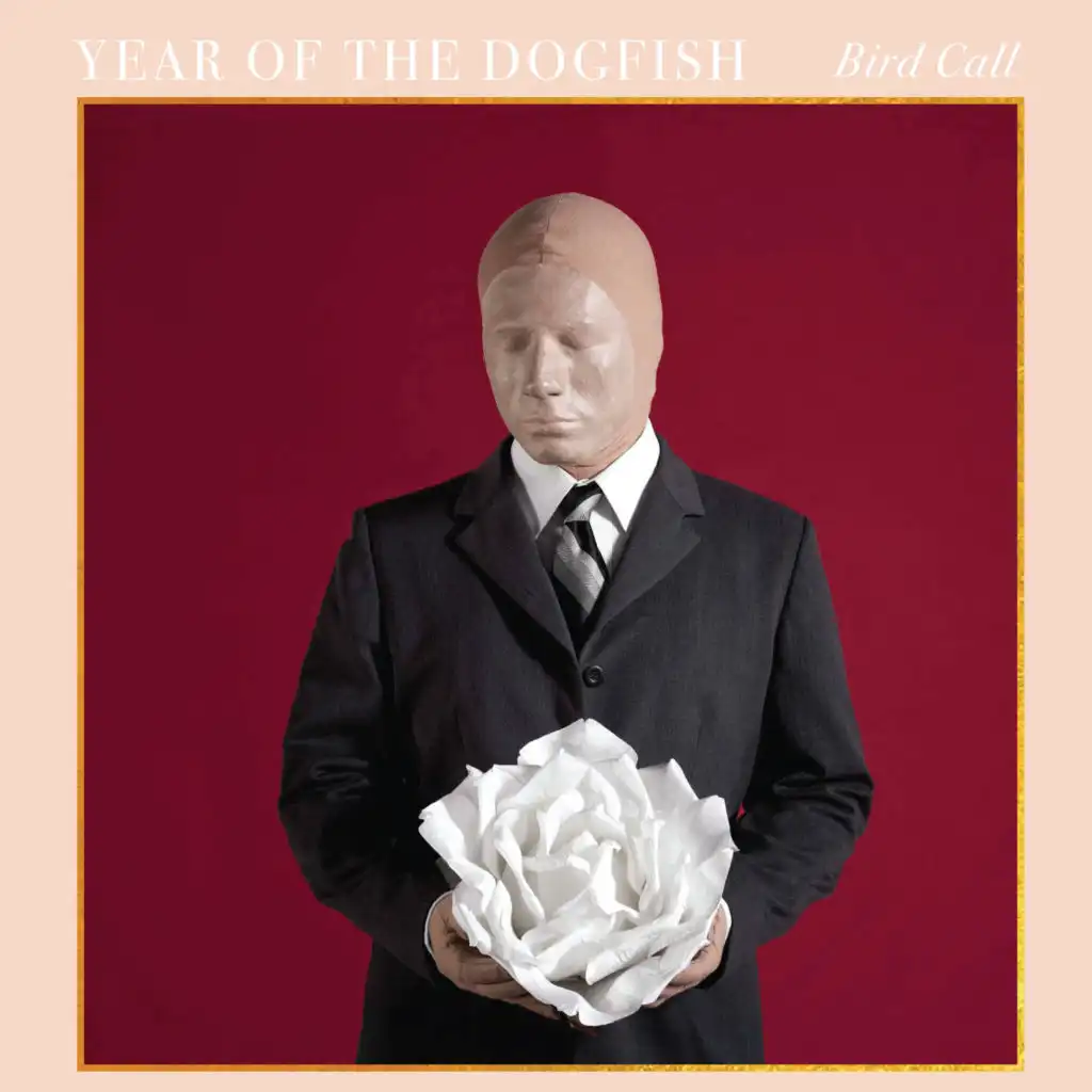 Year of the Dogfish