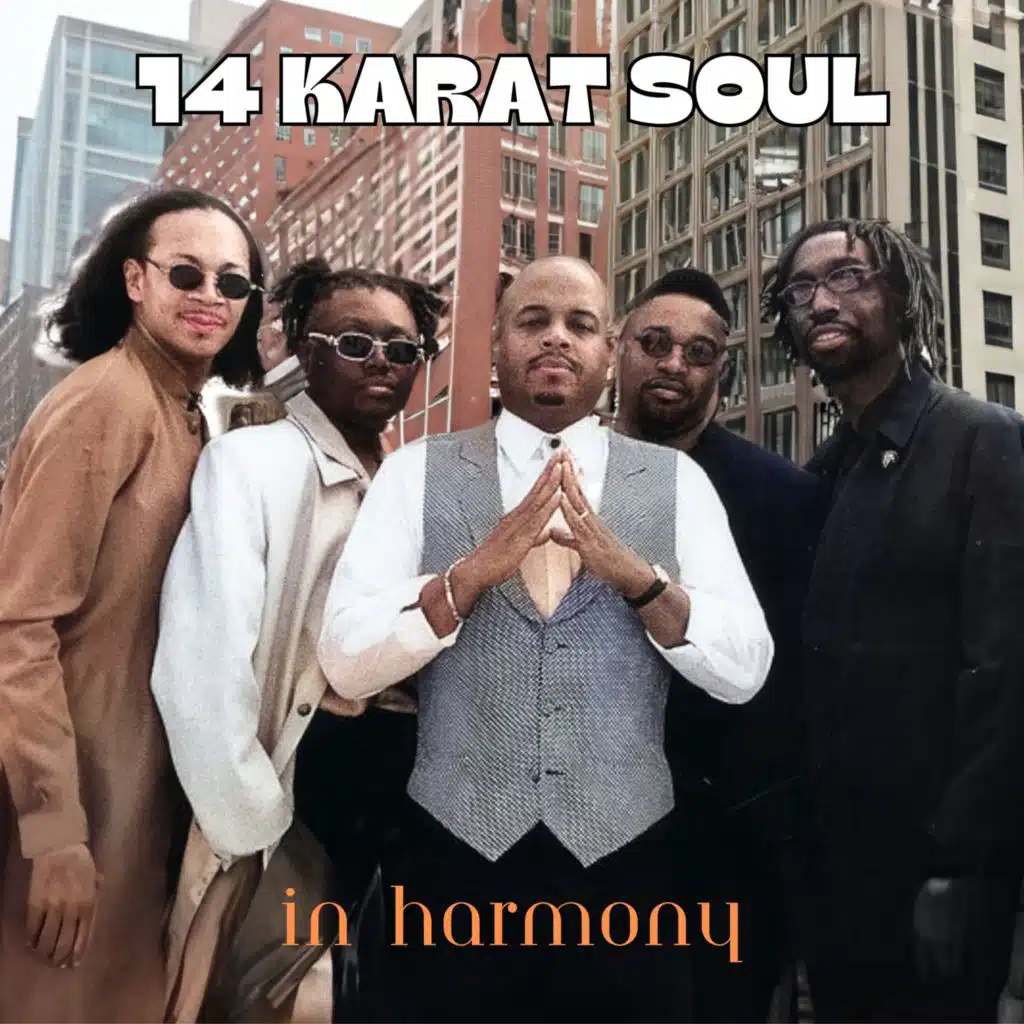 14 Karat Soul
