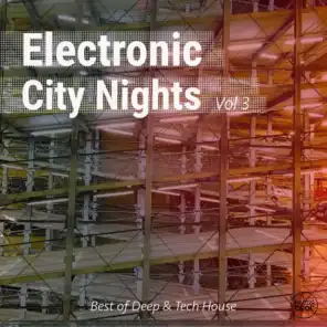 Electronic City Nights, Vol. 3