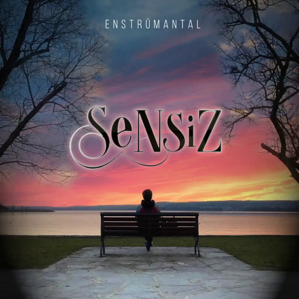 Sensiz