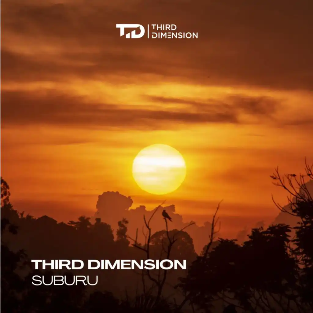 Third Dimension