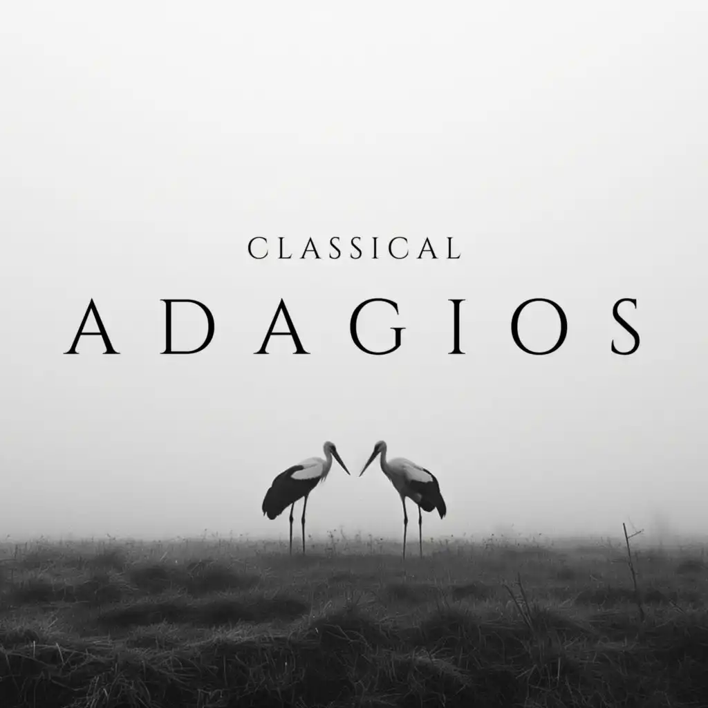 Adagio for Strings (arr. from Quartet for Strings, Op. 11)