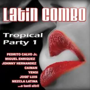 Latin Combo, Vol. 1