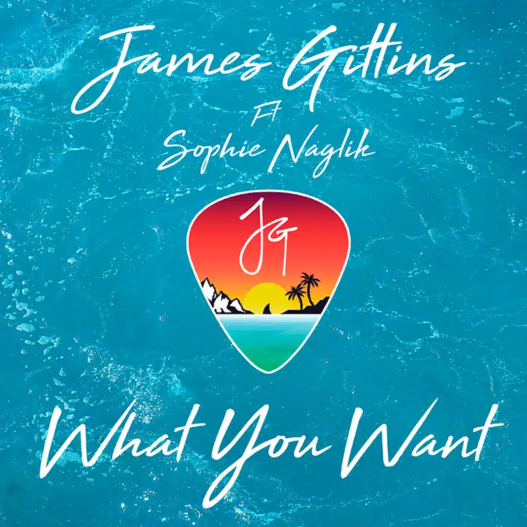What You Want (feat. Sophie Naglik)