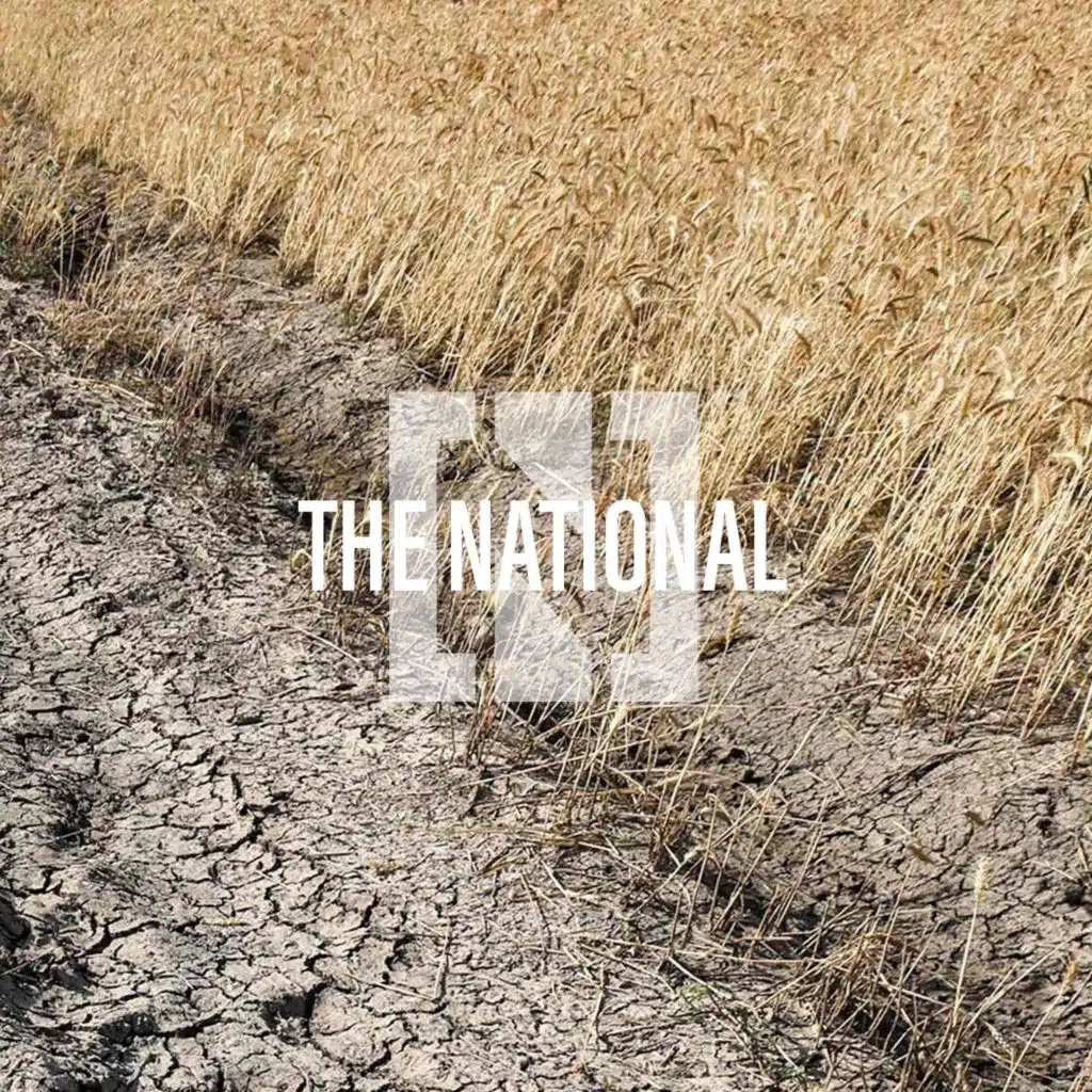 Iraq’s crop concern, Rishi Sunak declared British PM, Lebanon political crisis — Trending