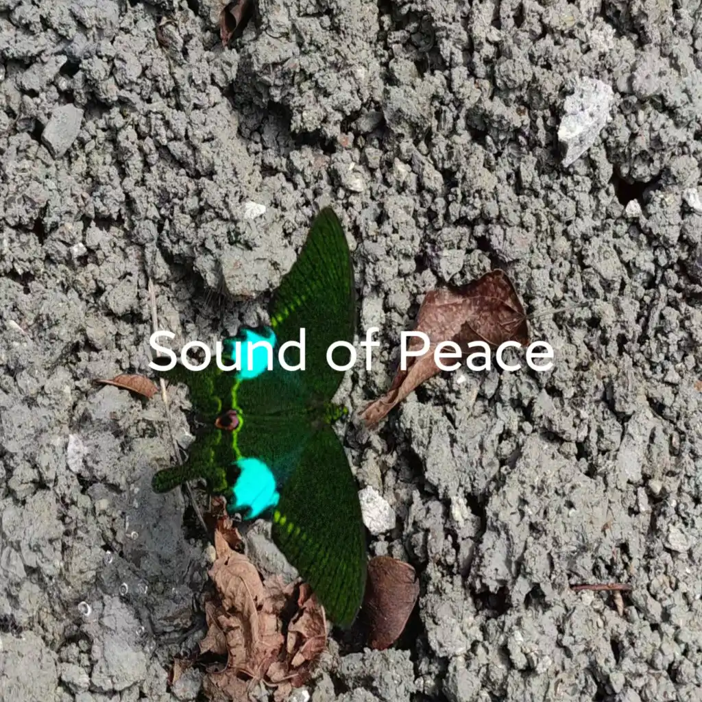 Sound Of Peace