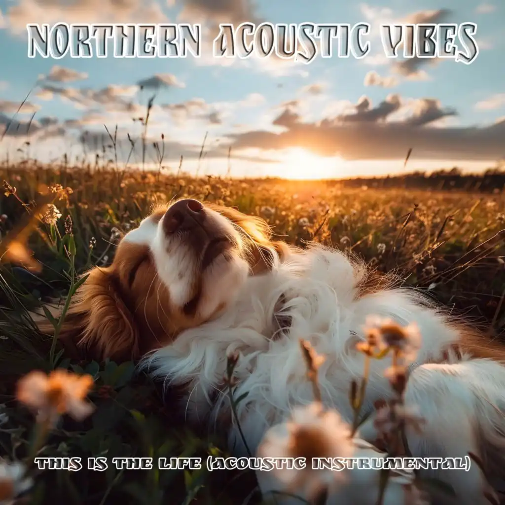 Northern Acoustic Vibes
