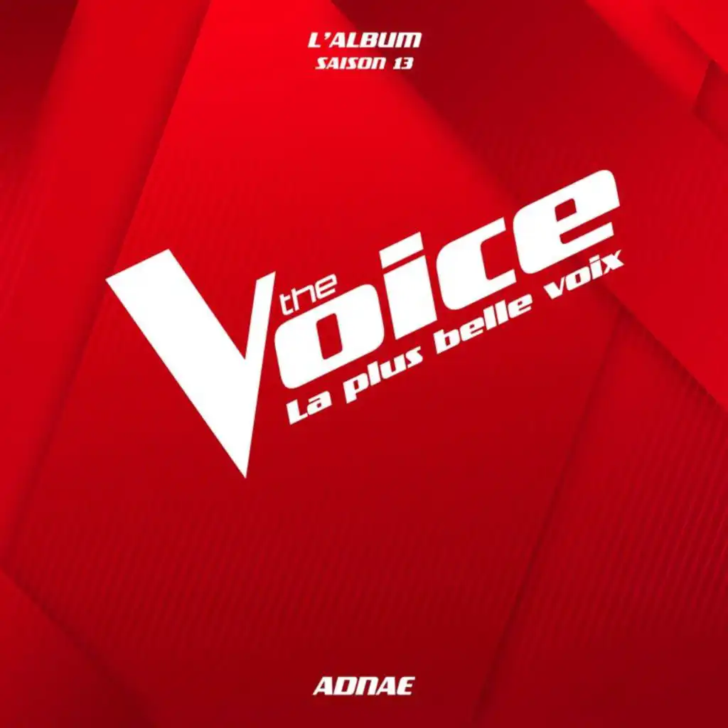 The Voice & Adnaé