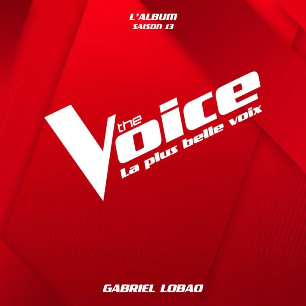 The Voice & Gabriel Lobao