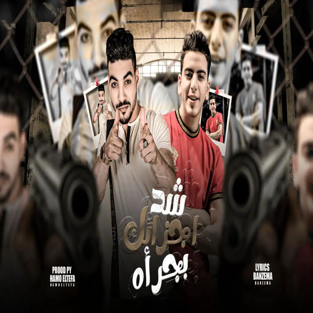 رامي الكروان