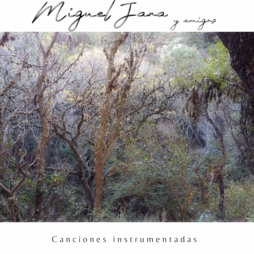 Canciones Instrumentadas