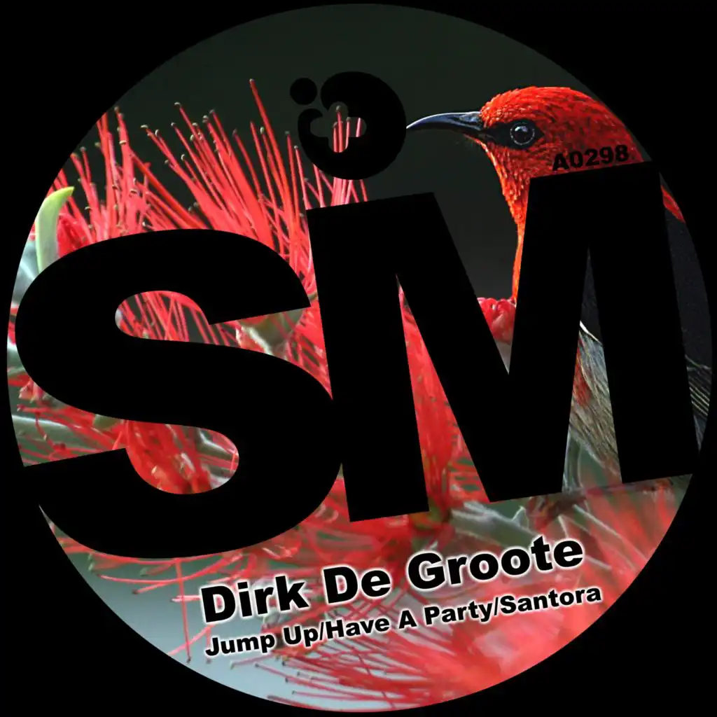 Dirk De Groote