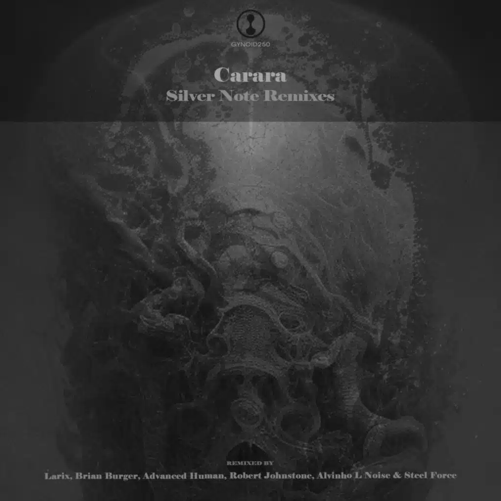 Silver Note (Brian Burger Remix)