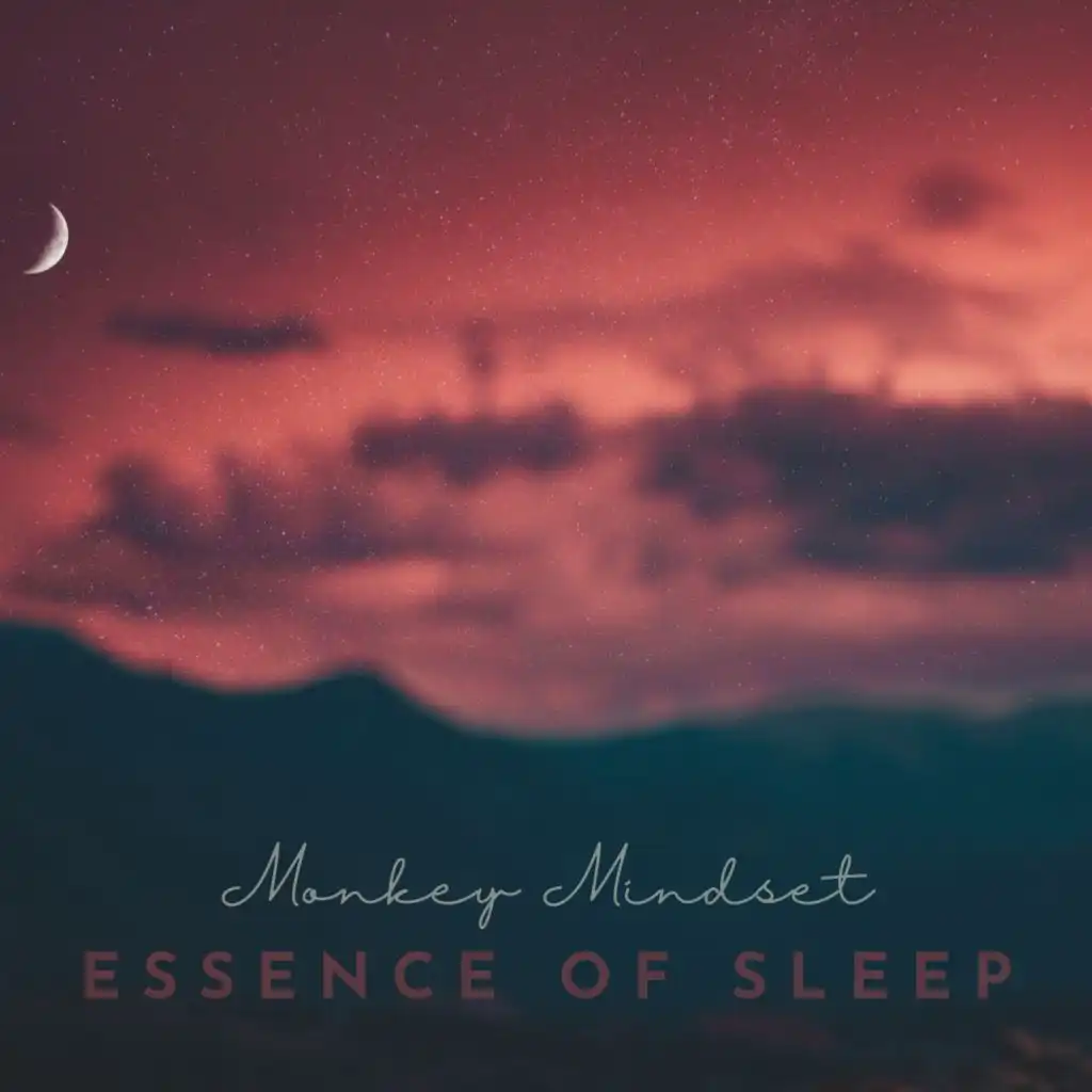 Essence of Sleep