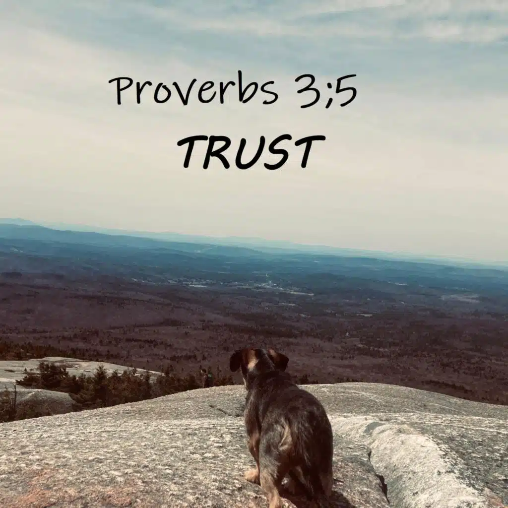 Trust