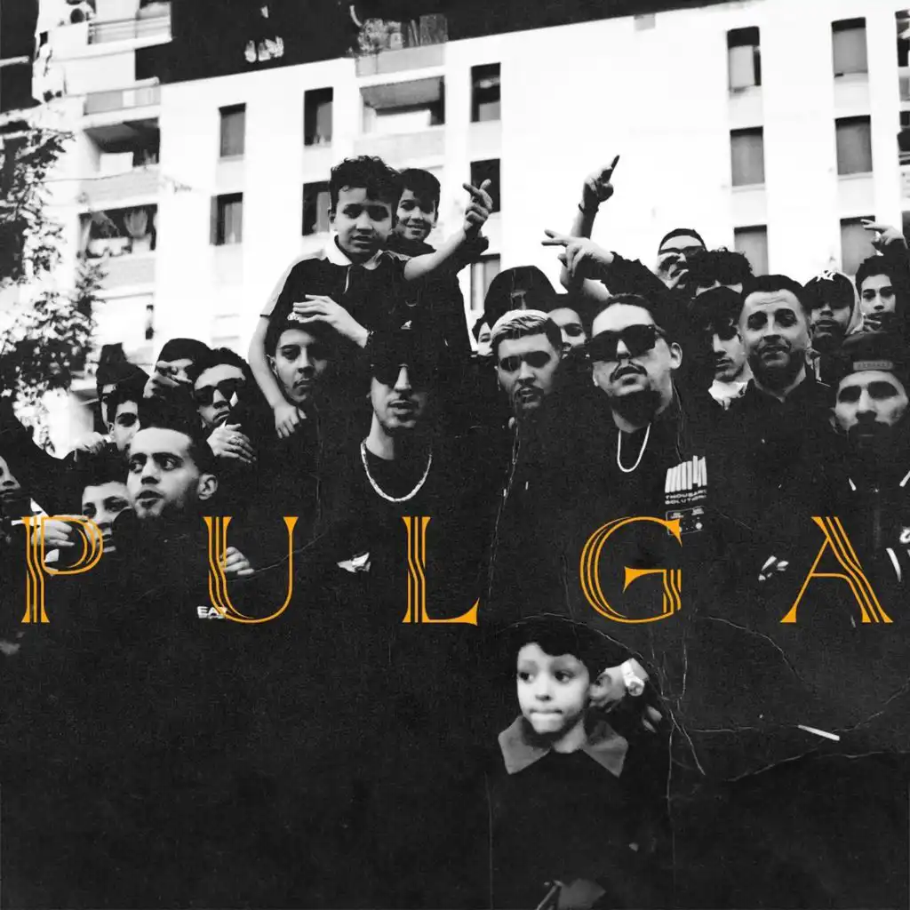 Pulga (feat. MVSS)