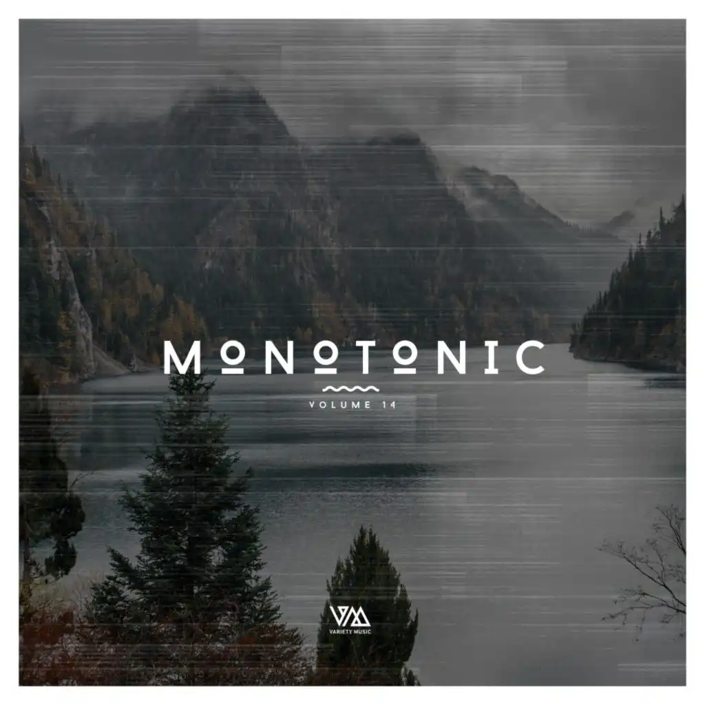 Monotonic Issue 14