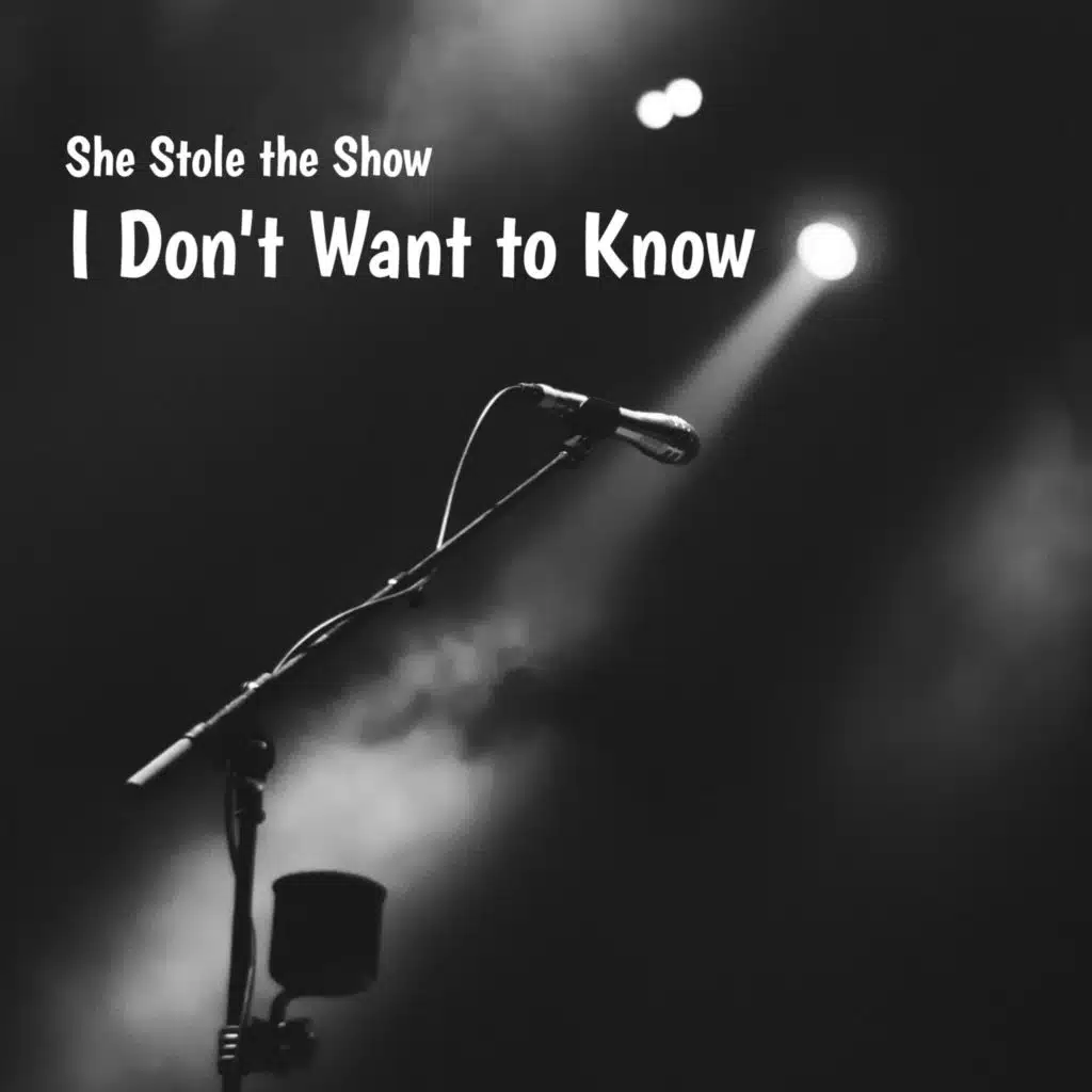 I Don't Want to Know (Instrumental Version)