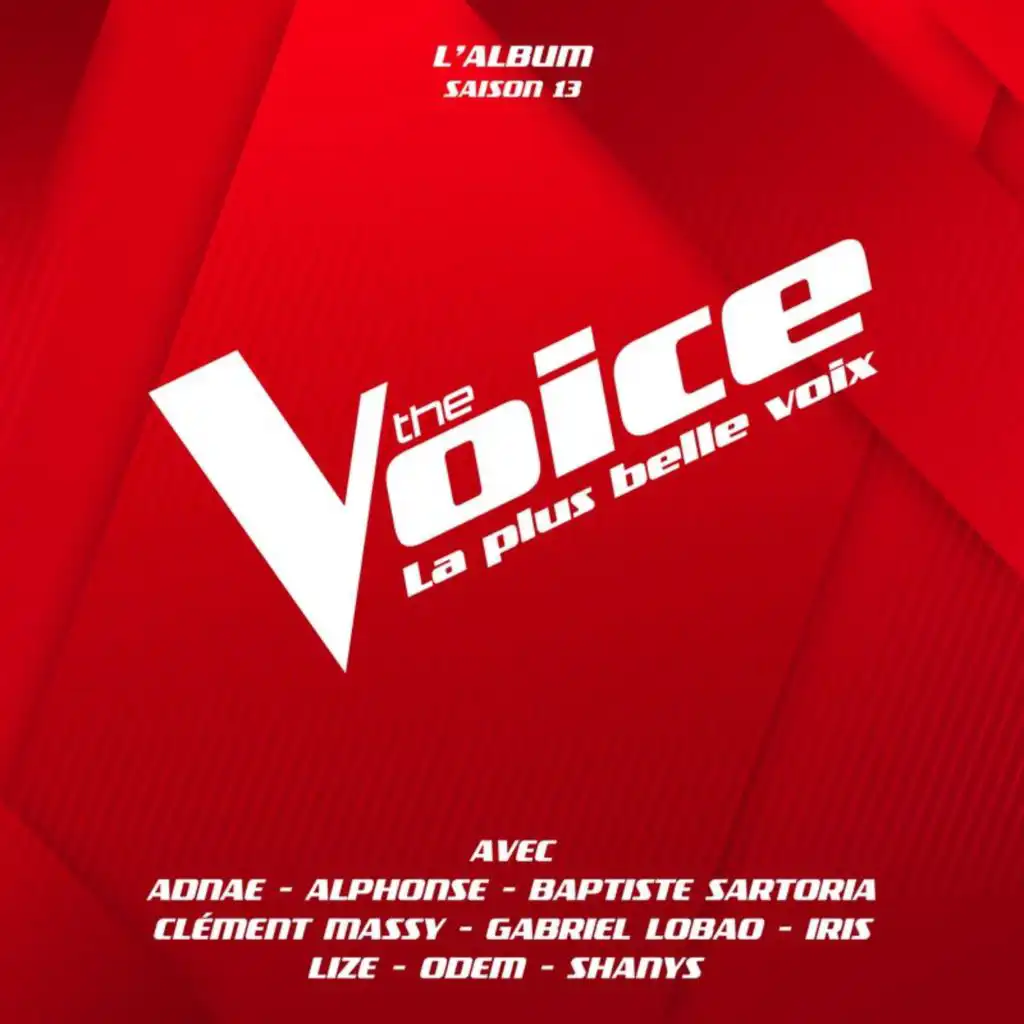 The Voice : La plus belle voix (Saison13)