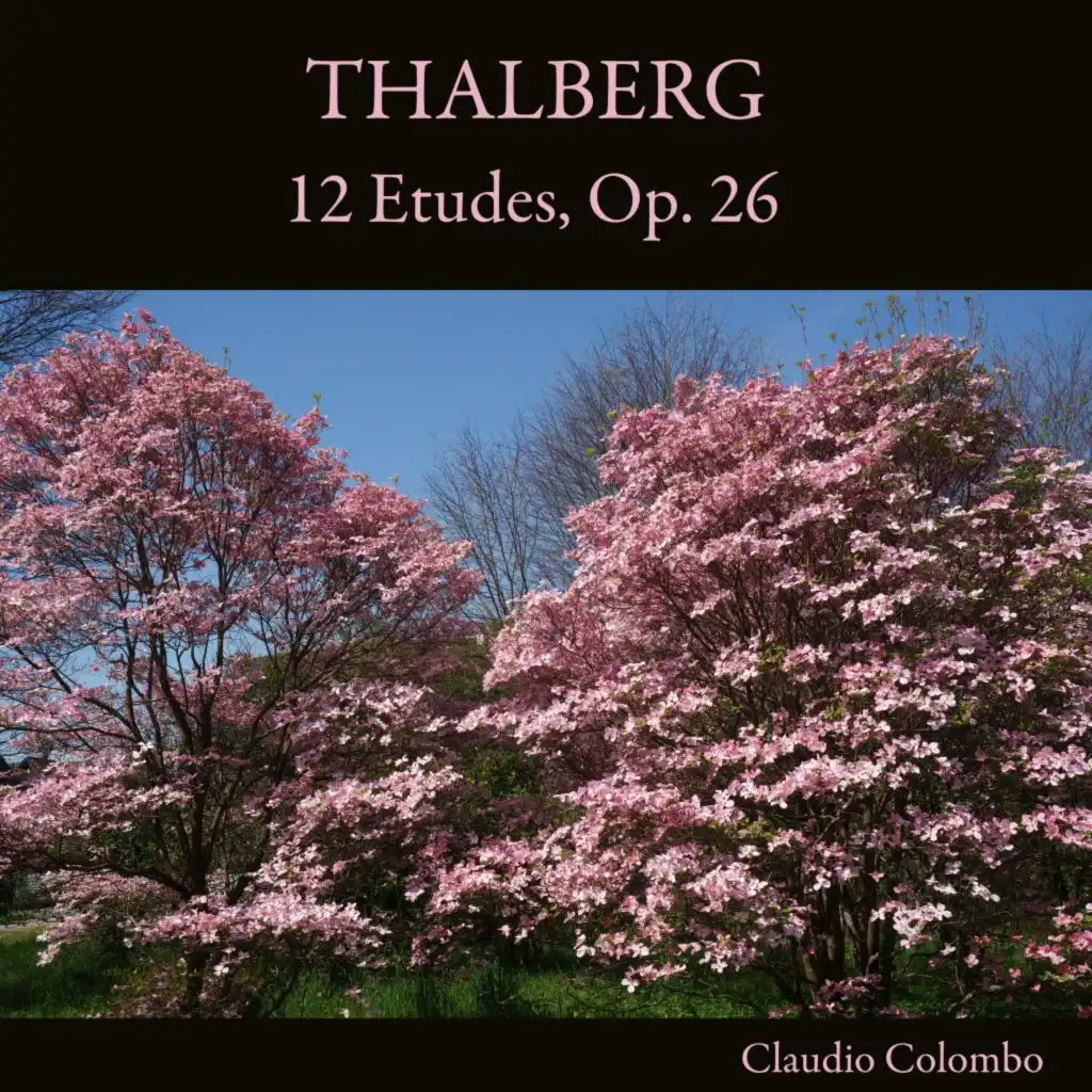 12 Etudes, Op. 26: II. Allegro