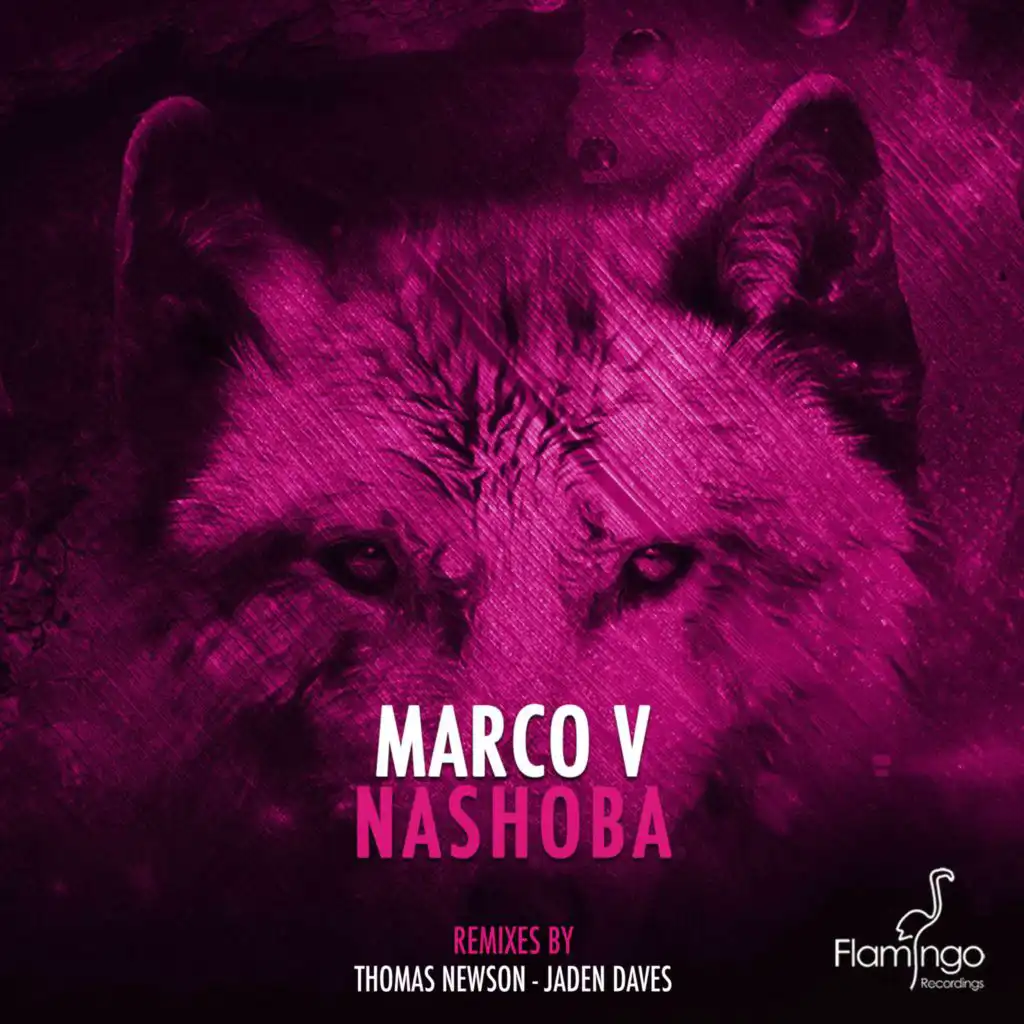 Nashoba (Thomas Newson Remix)