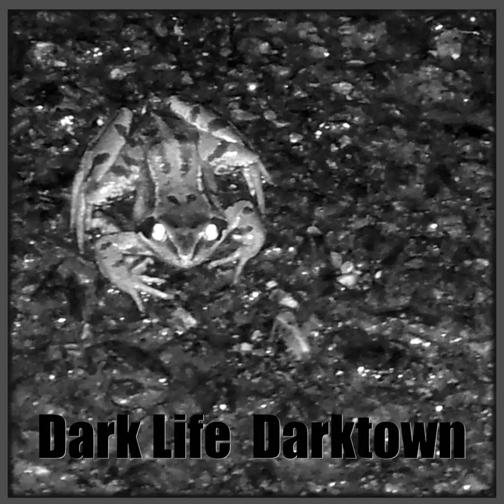 Dark Life Darktown (Live)