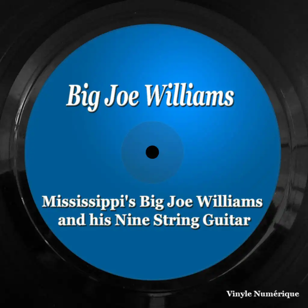 Mississippi's Big Joe Williams and his Nine String Guitar