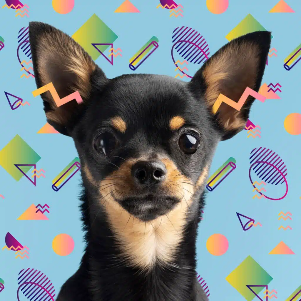 Tam Köpek Terapisi: Huzurlu Köpek Çalma Listesi (feat. Rahatlatıcı Müzik! & Doğanın Müziği)