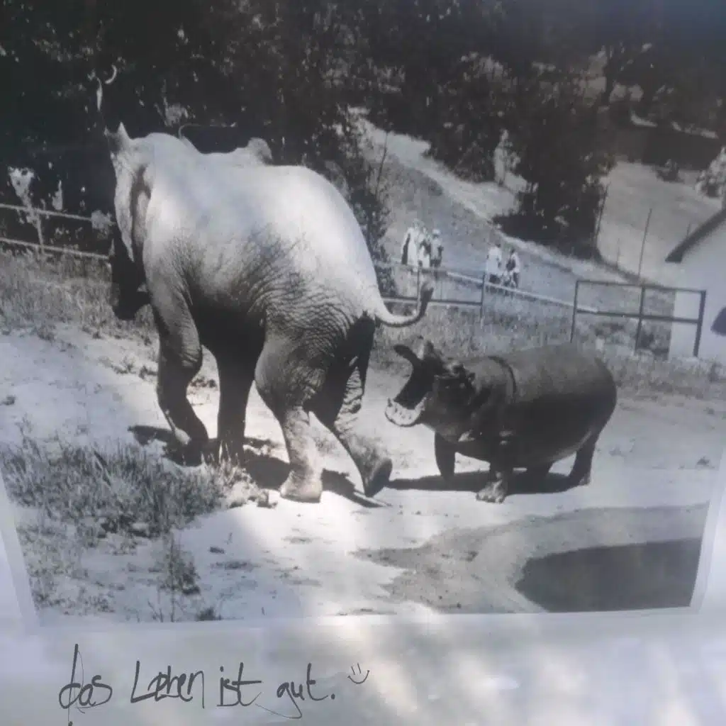 das leben ist guuut (feat. Streynge)