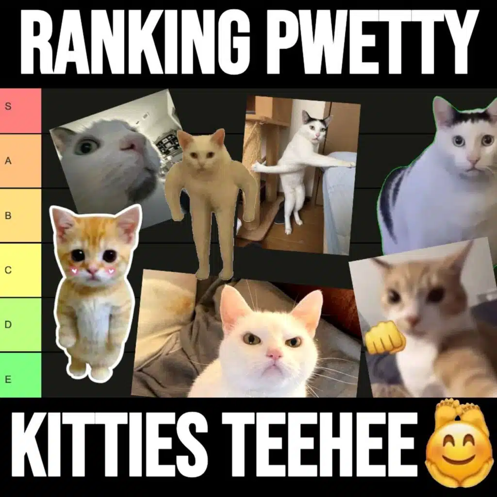 Ranking Very Pwetty Kitties (*＞ω＜*)♡