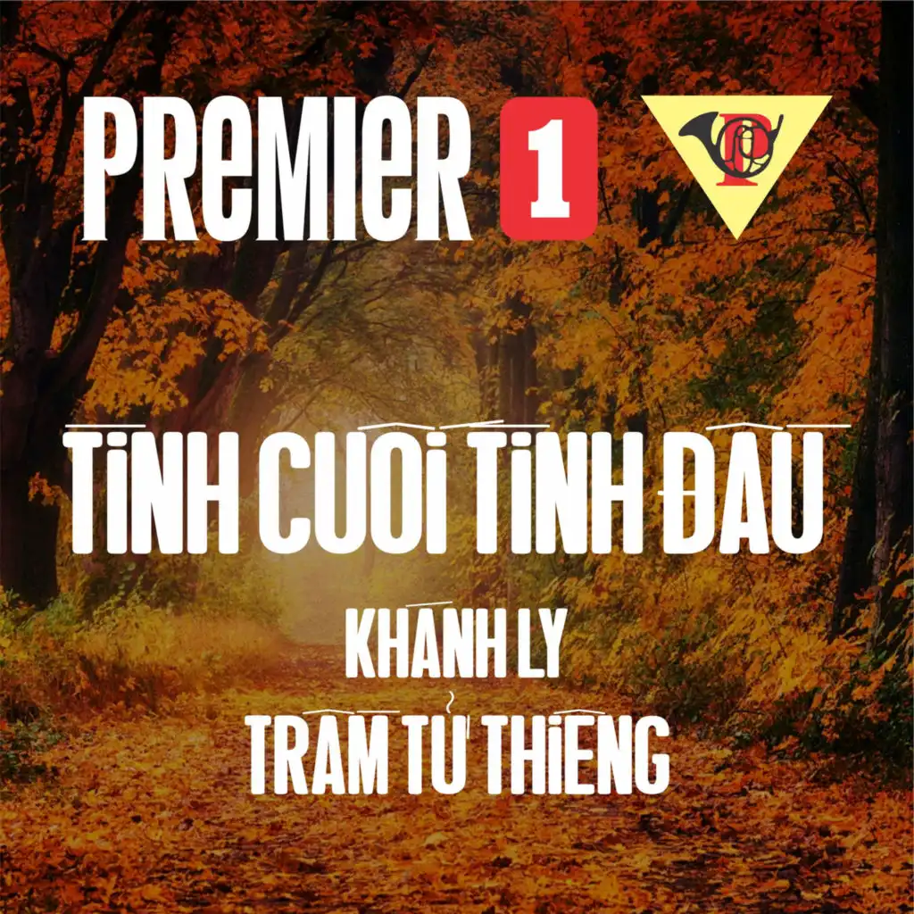 Tình Cuối Tình Đầu