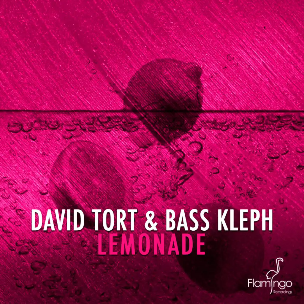 David Tort, Bass Kleph
