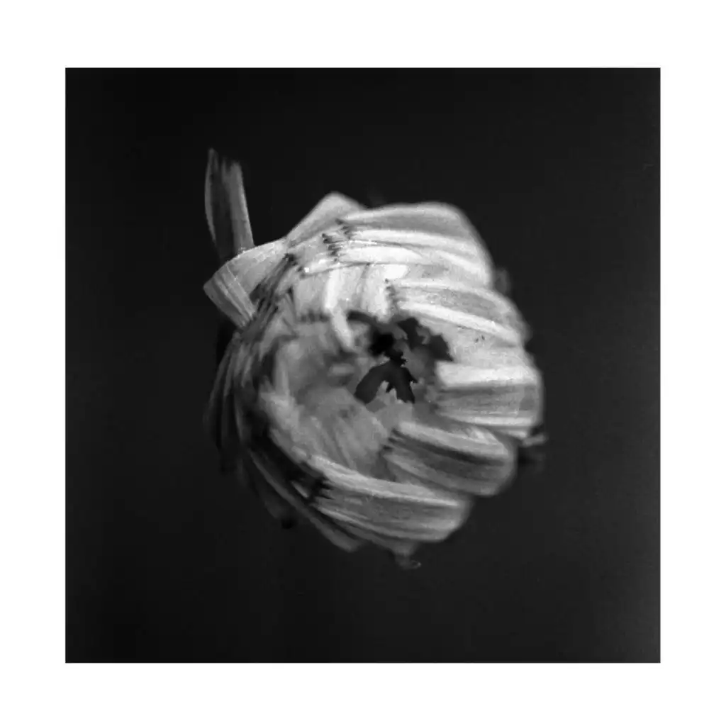 This Will End In Fire