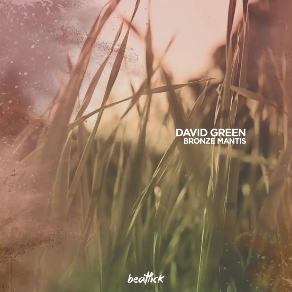 David Green
