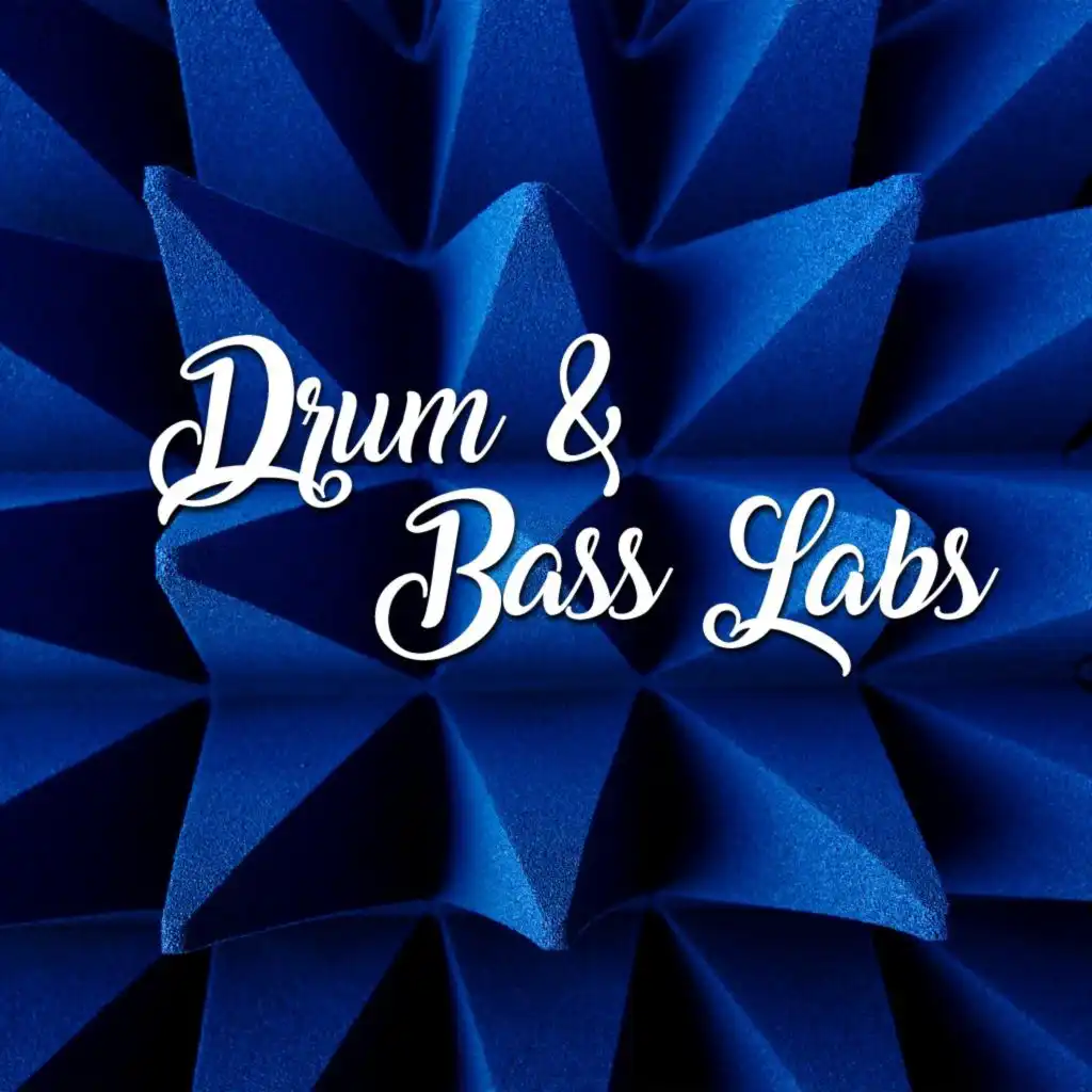 Drum & Bass Labs