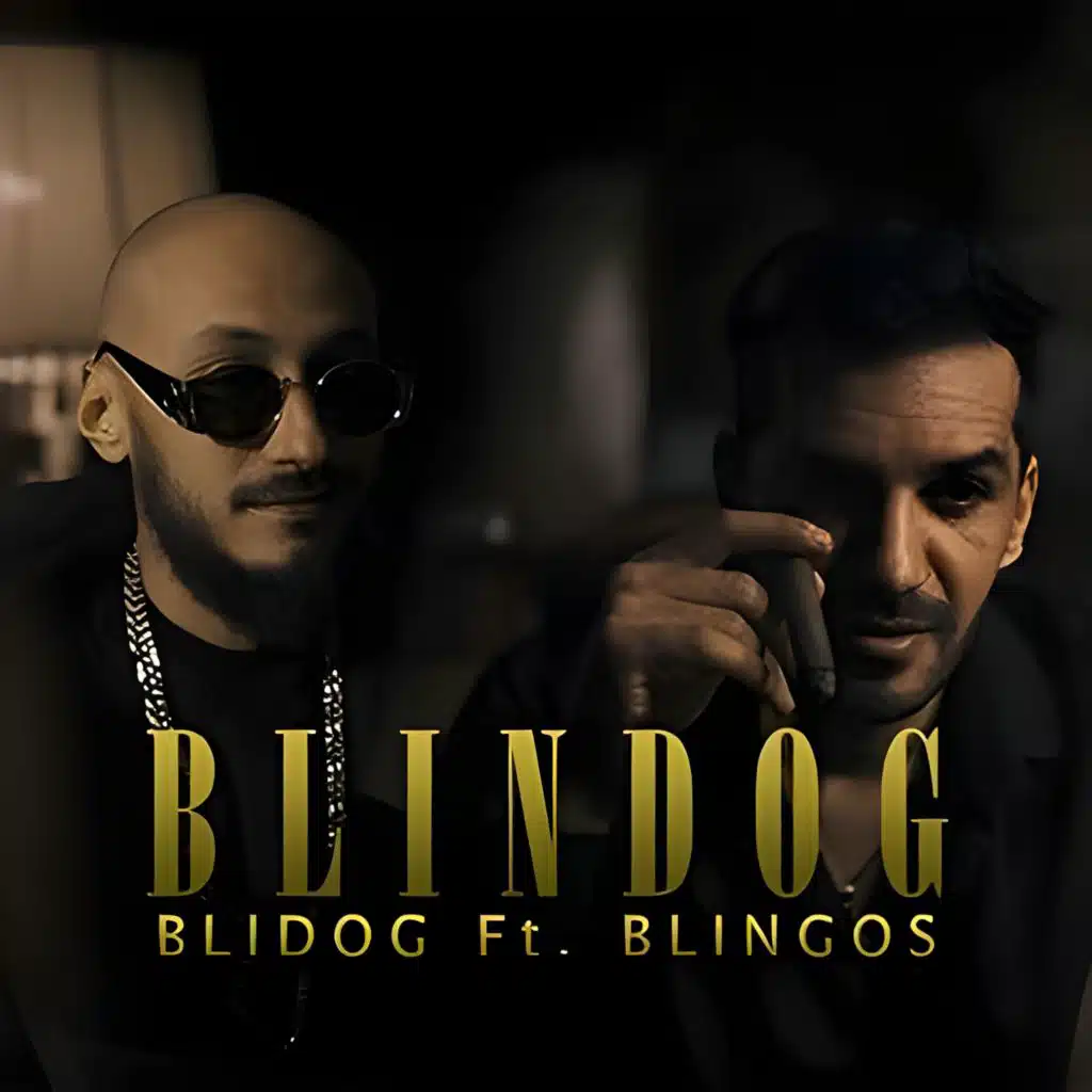 Blidog & Blingos