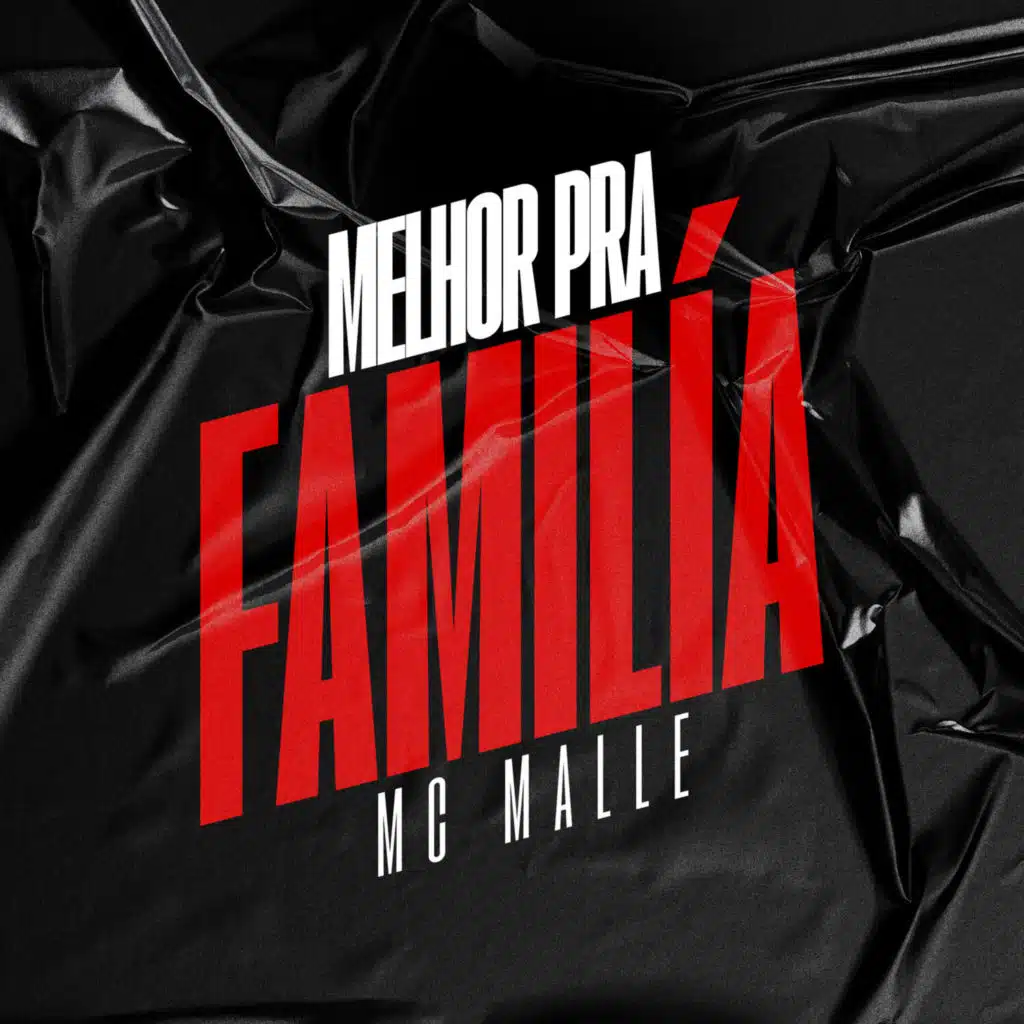 Melhor Pra Familia (feat. MC Malle)