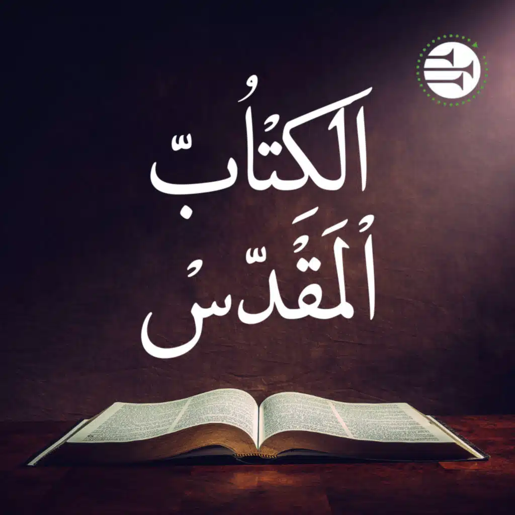 التكوين 32-41