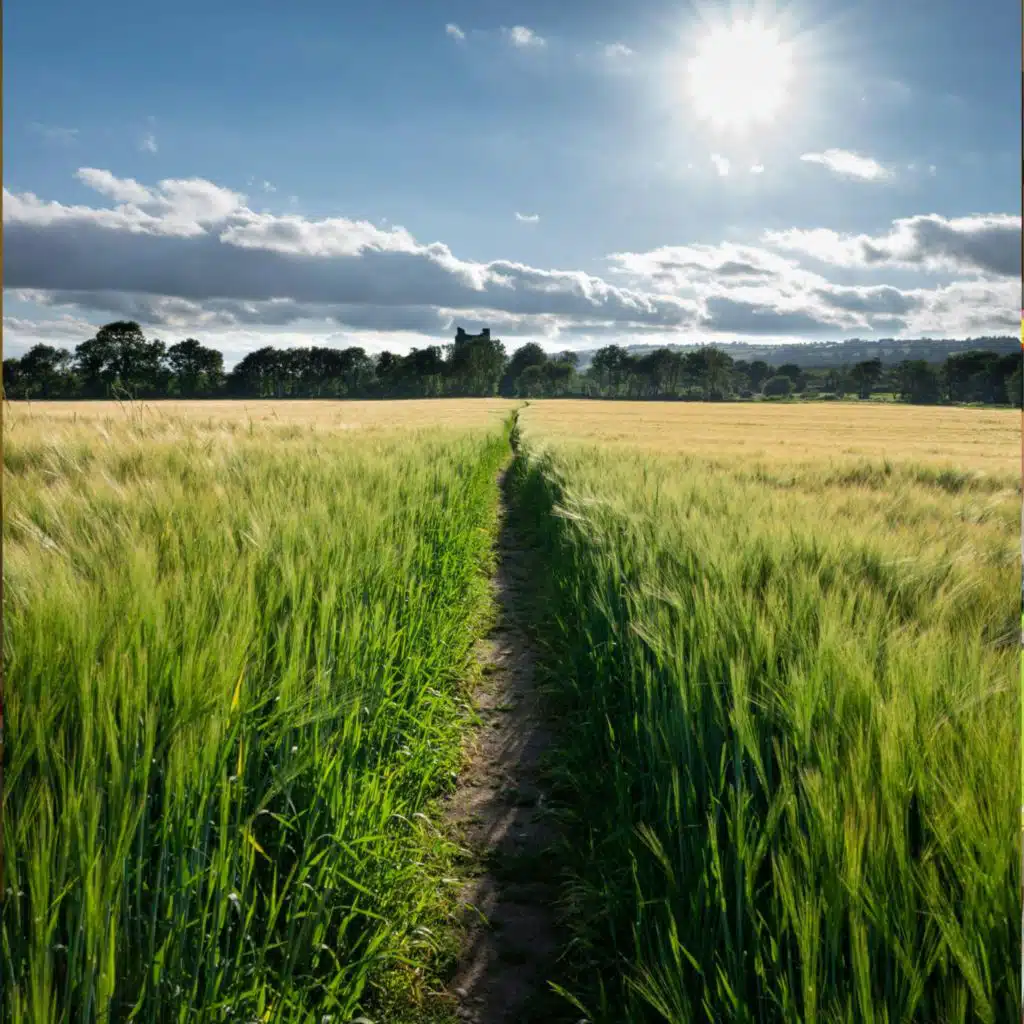 Farmers and climate change