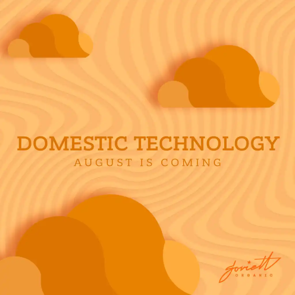 Domestic Technology