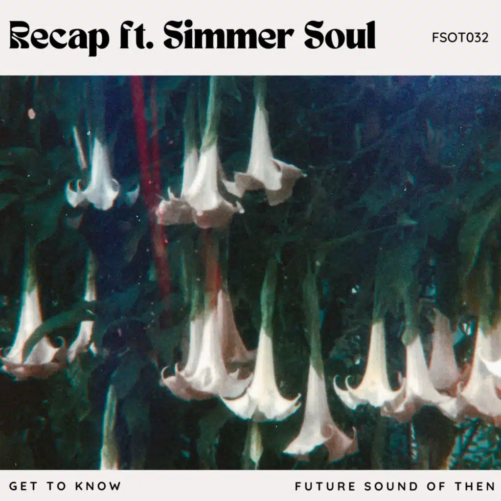 Recap (feat. Simmer Soul)