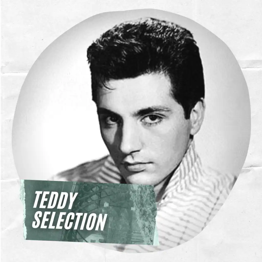 Teddy Selection