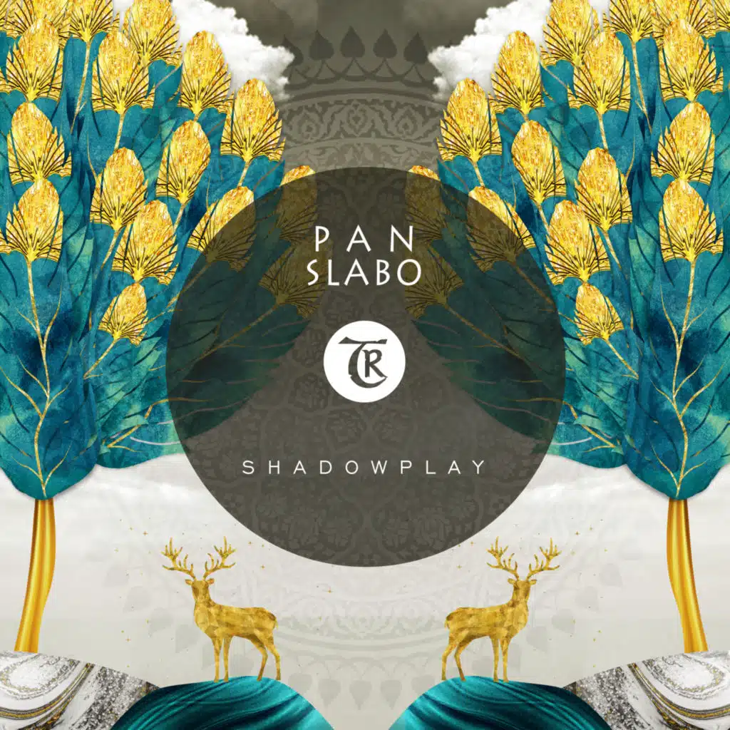Shadowplay (Night Mix)
