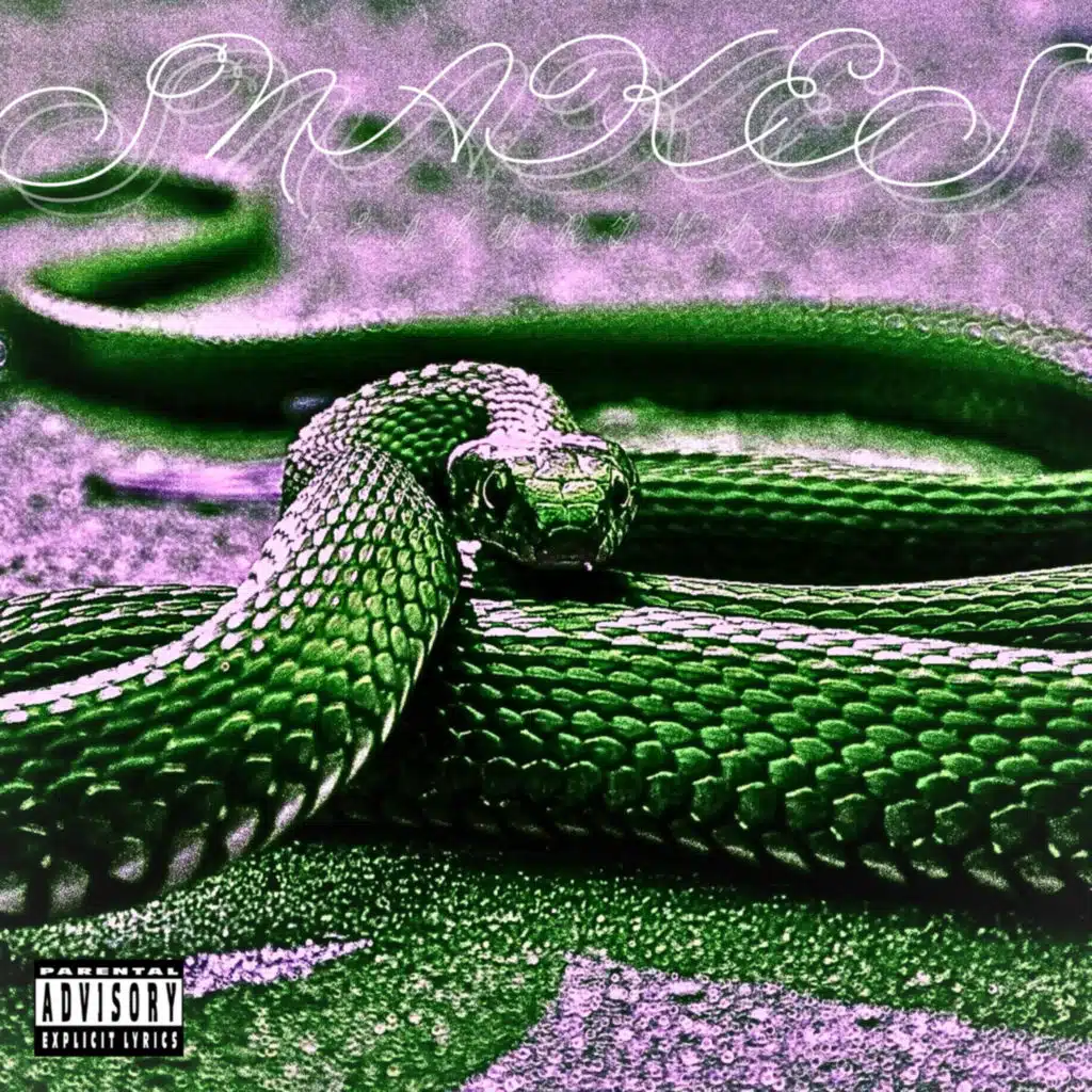 SNAKES