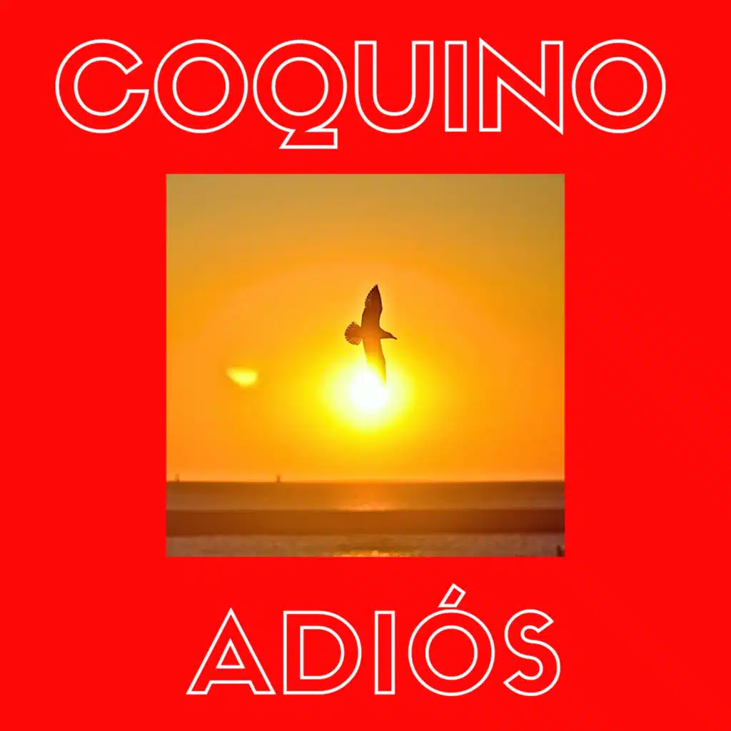 Adiós