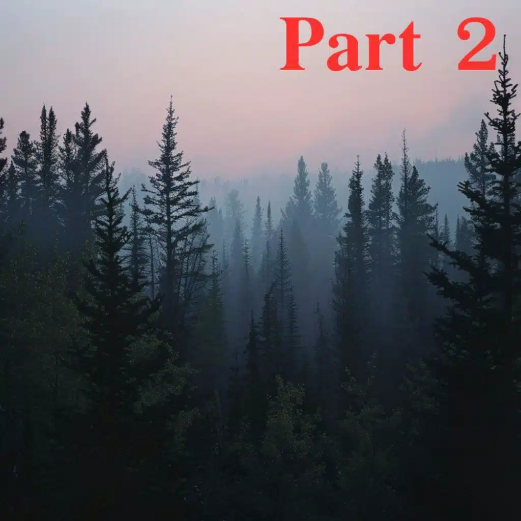 I Solve Disappearances in National Parks, but This Case Might Be My Last | Part 2